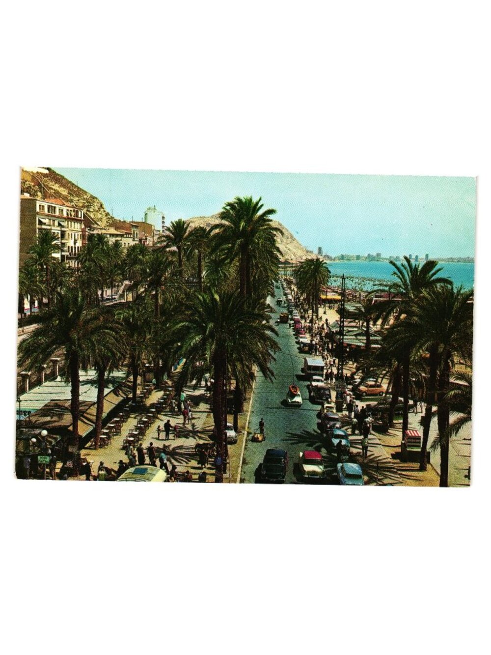 Vintage Alicante Playa Del Postiguet Postcard Scenic Palm Trees Seaside View